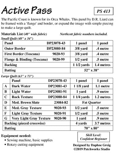 PS413 Active Pass