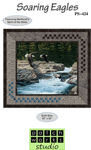 PS424-Soaring Eagles